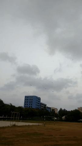 Plane Flyby GIF